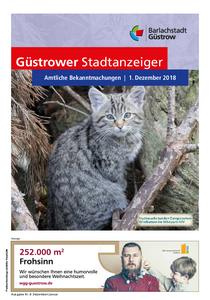 Ausgabe Dezember 2018 (4.98 MB)